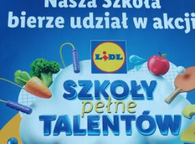 ZSRCKU - Szkoły pełne talentów